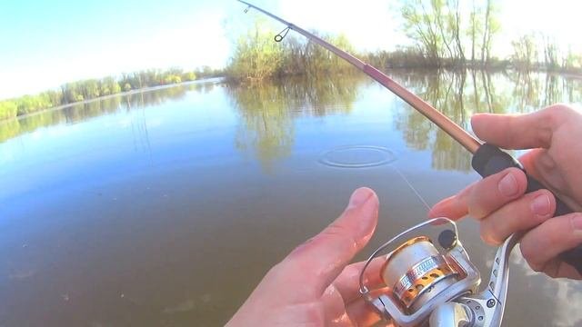 МормоБОМЖ  Мормо спиннинг дешевле 1000 рублей
