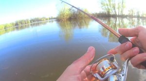МормоБОМЖ Мормо спиннинг дешевле 1000 рублей