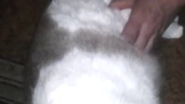 укол коту в ляшку смотреть онлайн