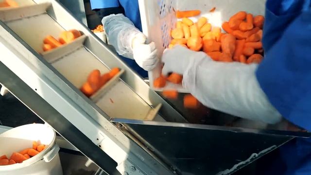 Овощи по-корейски смотреть онлайн