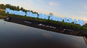 #мормышинг |Спиннинг Favorite Blue Bird Nano 602N-S 0.2-1.5g