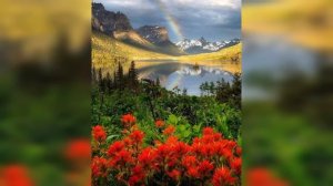 НЕВИДИМЫЕ НАГИЕ СТАРЦЫ АФОНА..ОНИ МОГУТ БЫТЬ РЯДОМ С ВАМИ, НО ВЫ ИХ НЕ УВИДИТЕ..