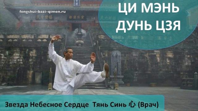 #73 Звезда Небесное Сердце, Тянь Синь, 心, (Врач) l Ци Мэнь Дунь Цзя