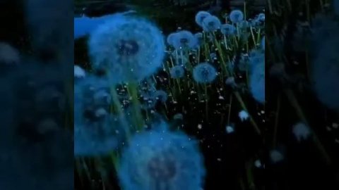 #добройночи #goodnight