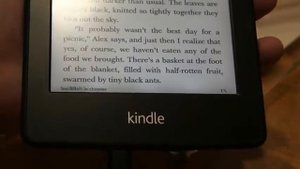 Amazon Kindle Paperwhite - электронная книга с подсветкой