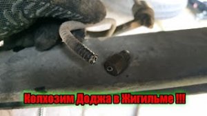 Заколхозил Доджа