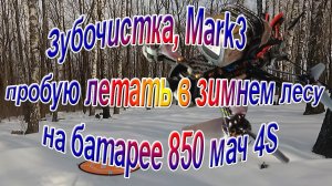 Полёт в лесу зубочистки Mark3 батарея 850 мач 4S