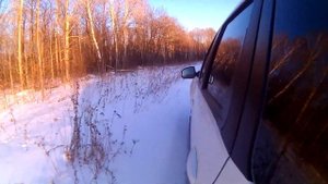 косяк защиты Alfeco