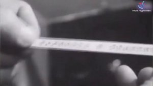 Николай Иванович Вавилов История жизни