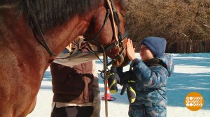 За что мы любим лошадей. Доброе утро. Фрагмент выпуска от 29.03.2024