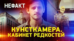 Кунсткамера. Кабинет редкостей