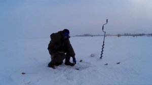 Ловля окуня на блесну. Первое озеро.