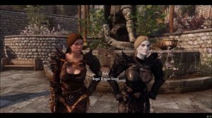 Skyrim Characters to be followers