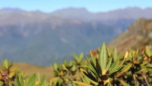 перевал седой/красная поляна осенью