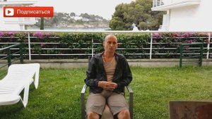 Что можно приготовить из нута? Что такое нут и с чем его едят? Как готовить нут? Аннада