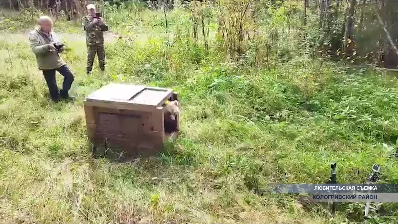 Вернулся в родные места обитания