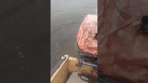 ямаха 40 румпель