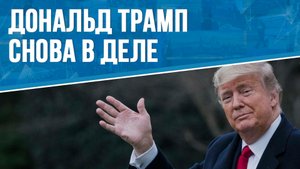 Дональд Трамп снова в деле