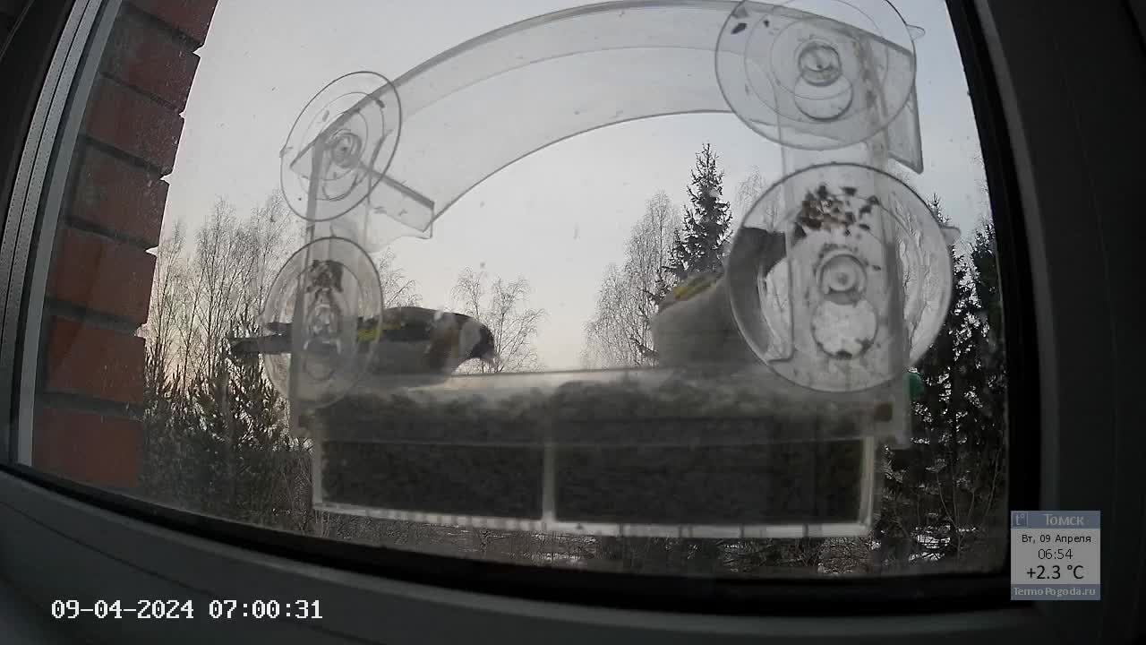 Кормушечка 09.04.24