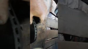 Замена передних тормозных дисков с колодка и на автомобили Хендай Акцент