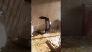 Ингаляция светлым жиром для собаки ч 1