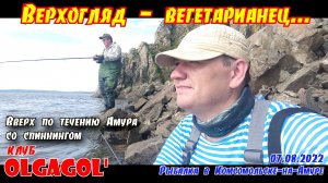 Верхогляд - вегетарианец....(07 08 22 Спиннинг Амур Верхогляд) mp4