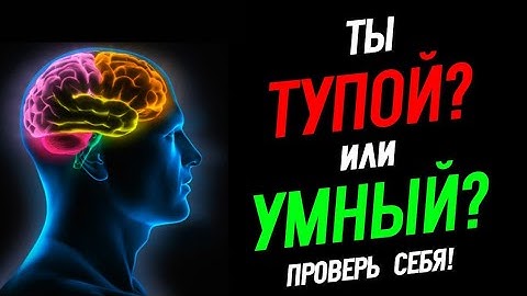 Тест: Насколько Ты Умный? Проверь Себя!