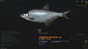 Fisher Online ХЕРСОН ДЕЛЬТА БЕЛОГЛАЗКА С ЛОДКИ