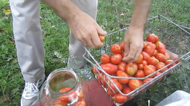 Квашенные помидоры рецепт-" киевляне в глухомани"