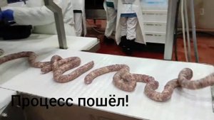 Производство купат и колбасок на предприятии Агрохолдинга "Охотно"