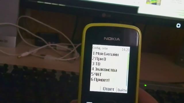 Как узнать свой номер БИЛАЙН