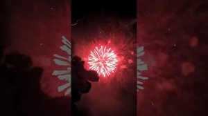 Праздничный фейерверк ко дню города Москвы!!!! Парк Кузьминки