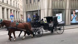 ВЕНА - САМЫЙ КОМФОРТНЫЙ ГОРОД ДЛЯ ЖИЗНИ