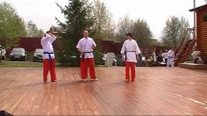 Мьянманские боевые искусства Таинг