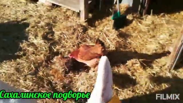 Деревенское танго смотреть онлайн