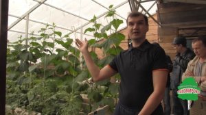 Солнечный био-вегетарий на Урале: теория и практика