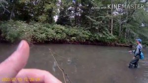 Муравейка Приморский край