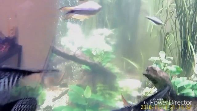 Тест камеры в воде смотреть онлайн