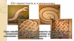 Используем удобрения правильно — чем отличается двойной суперфосфат от простого