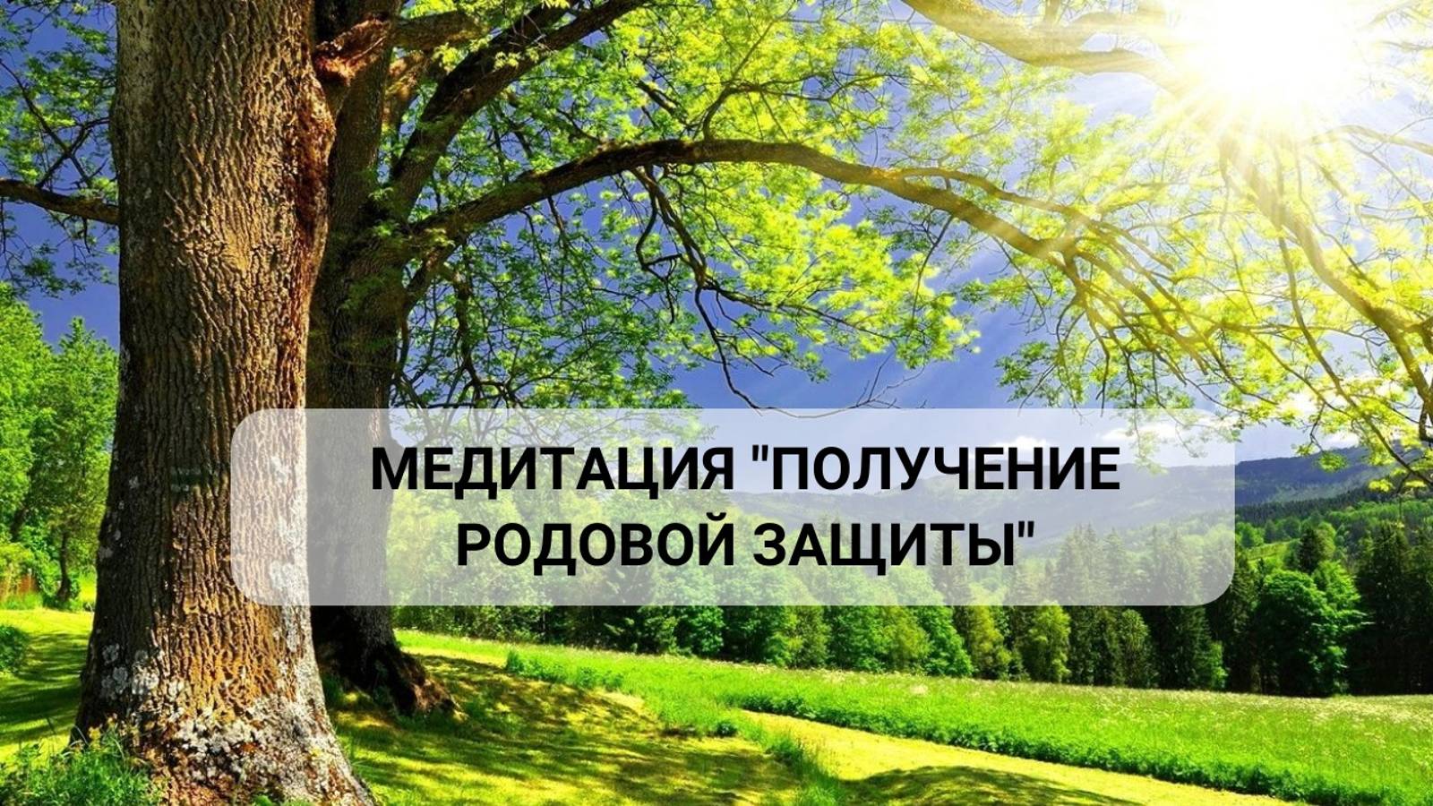 Медитация "Получение Родовой Защиты"