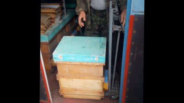 мини рохли на пасеке смотреть онлайн