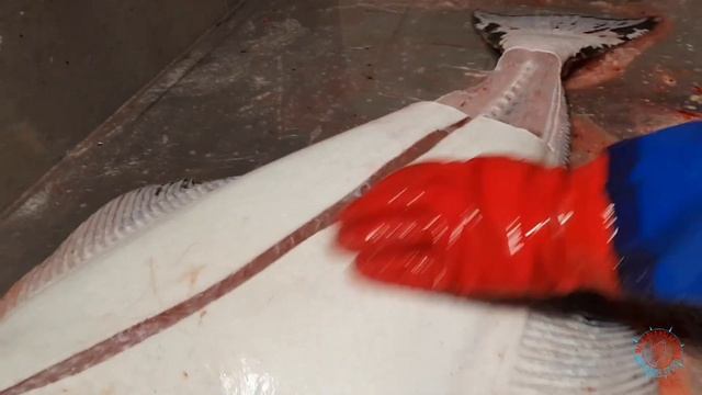 Halibut. How to make fish fillets. Палтус. Как разделать рыбу смотреть онлайн
