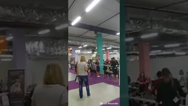 9 национальная выставка ксолоитцкуинтли