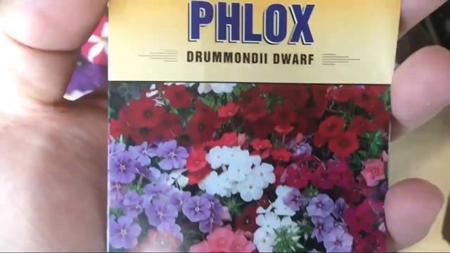 Yates Seeds and Ramgo Seeds Unboxing Itatanim ngayong Quarantine смотреть онлайн