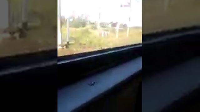 Прибытие на станцию Волховстрой-1 на электропоезде ЭТ2М