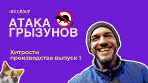 КАК ЗАЩИТИТЬ ПАВИЛЬОН ОТ ГРЫЗУНОВ?