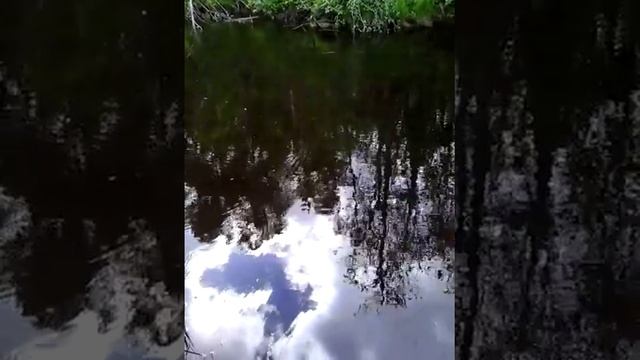 Щука на река сестре смотреть онлайн