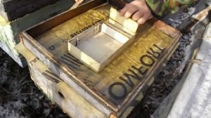 почему ослабевают отдельные семьи пчел к осени