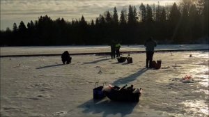 Обед. Поимки форели на водоеме! Клевое место, д. Савельево