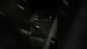 Сиденья от Солярис в Ваз